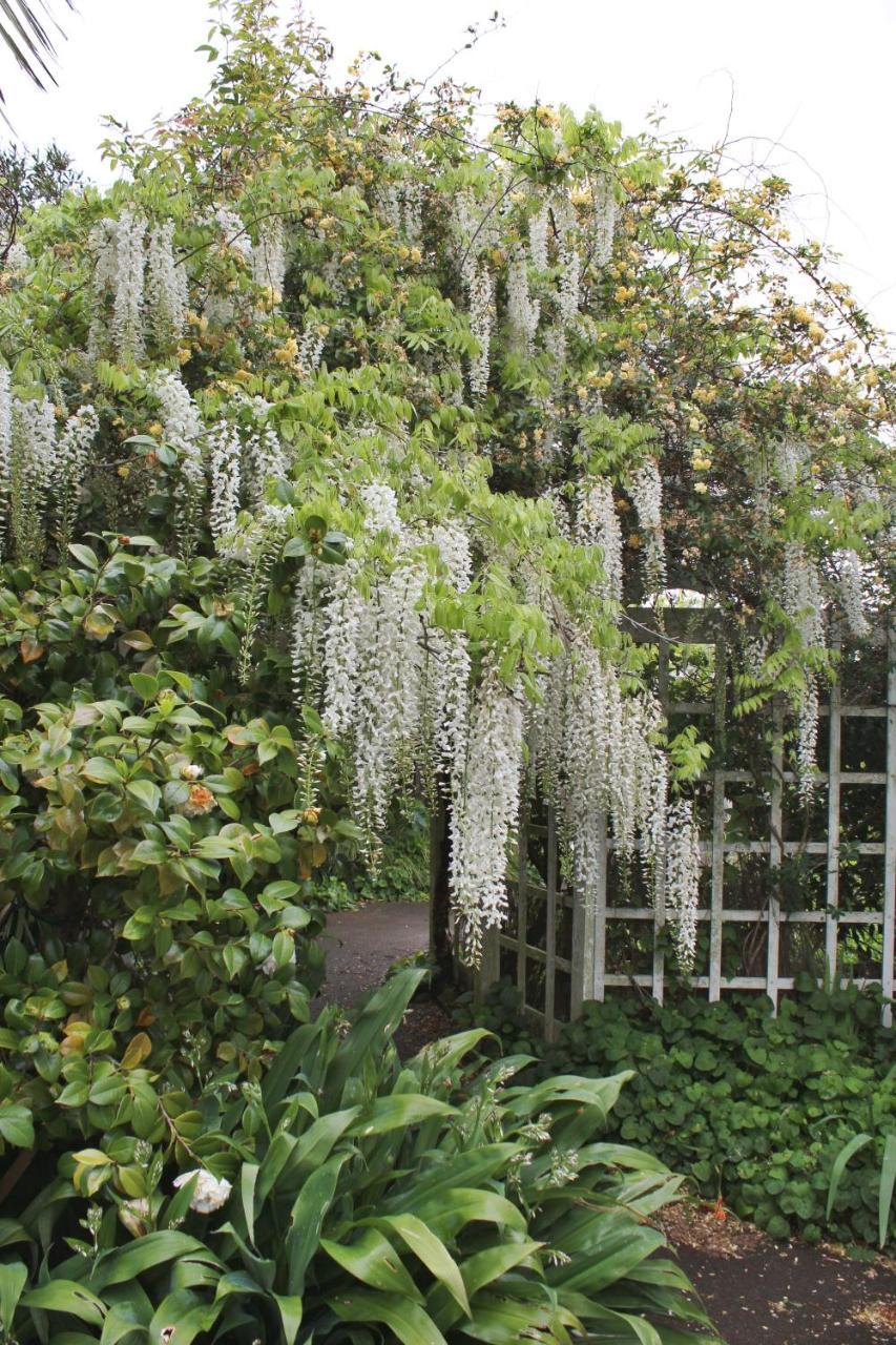 Browns Boutique Bed And Breakfast Whanganui Exterior foto
